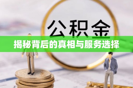 河源揭秘背后的真相与服务选择