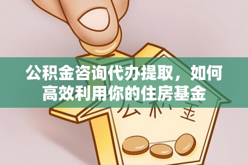 河源公积金咨询代办提取，如何高效利用你的住房基金
