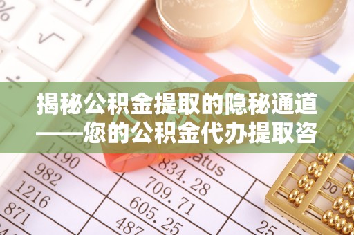 河源揭秘公积金提取的隐秘通道——您的公积金代办提取咨询指南