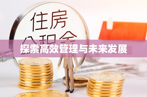 河源探索高效管理与未来发展