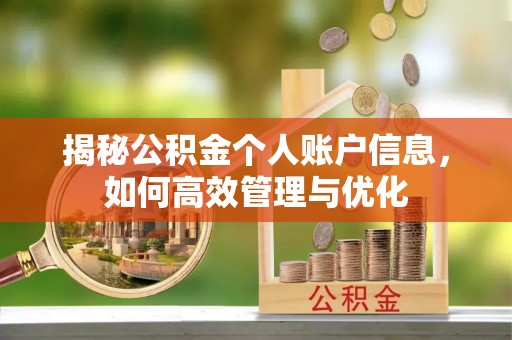 河源揭秘公积金个人账户信息，如何高效管理与优化