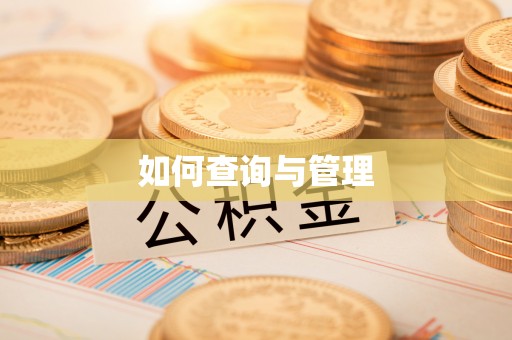 河源如何查询与管理