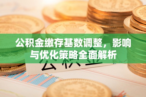 河源公积金缴存基数调整，影响与优化策略全面解析