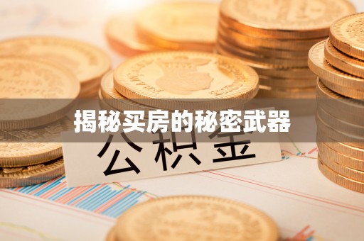河源揭秘买房的秘密武器