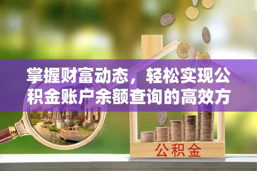 河源掌握财富动态，轻松实现公积金账户余额查询的高效方法