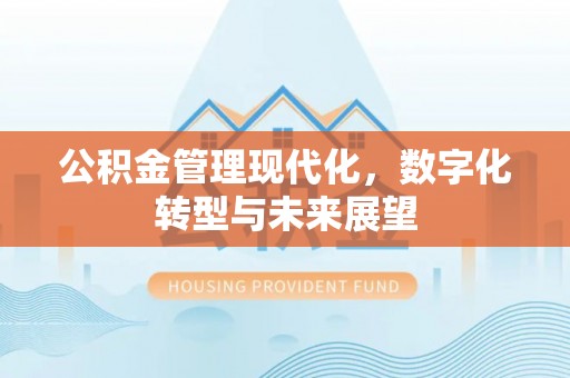 河源公积金管理现代化，数字化转型与未来展望