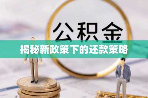 河源揭秘新政策下的还款策略