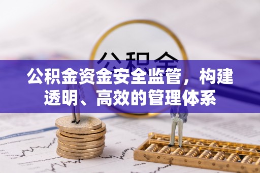 河源公积金资金安全监管，构建透明、高效的管理体系