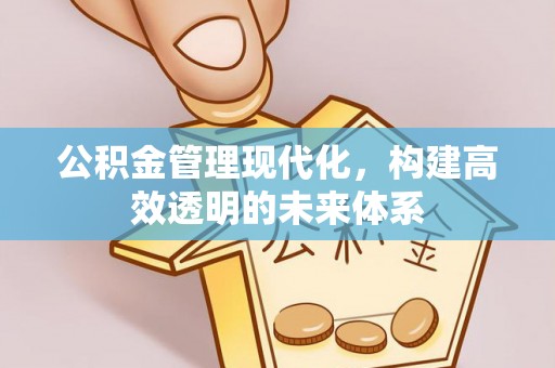 河源公积金管理现代化，构建高效透明的未来体系