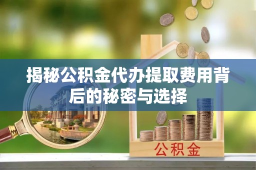 河源揭秘公积金代办提取费用背后的秘密与选择