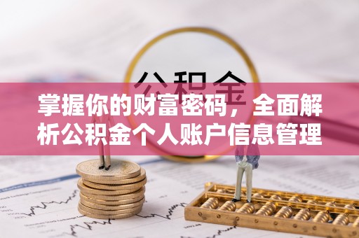 河源掌握你的财富密码，全面解析公积金个人账户信息管理与优化