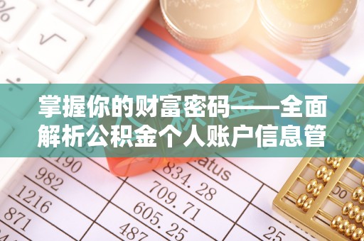 河源掌握你的财富密码——全面解析公积金个人账户信息管理与优化