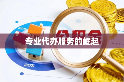 河源专业代办服务的崛起