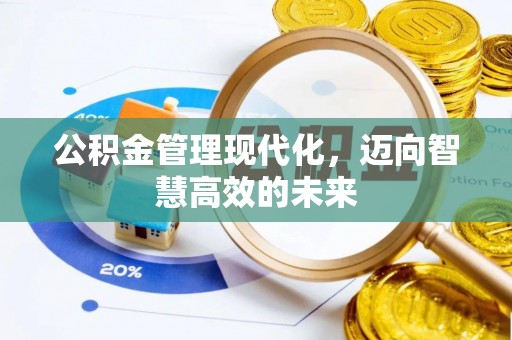 河源公积金管理现代化，迈向智慧高效的未来