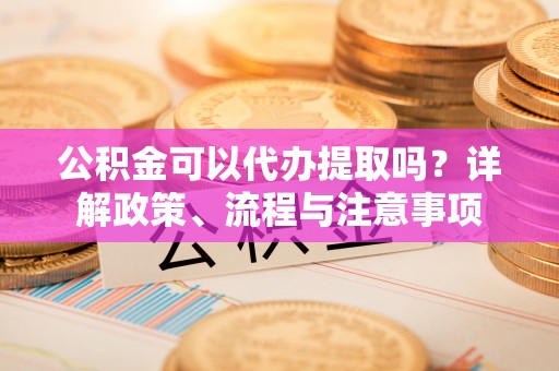 河源公积金可以代办提取吗？详解政策、流程与注意事项