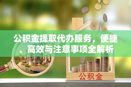 河源公积金提取代办服务，便捷、高效与注意事项全解析
