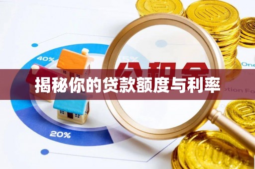 河源揭秘你的贷款额度与利率
