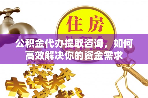 河源公积金代办提取咨询，如何高效解决你的资金需求
