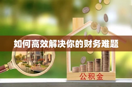 河源如何高效解决你的财务难题