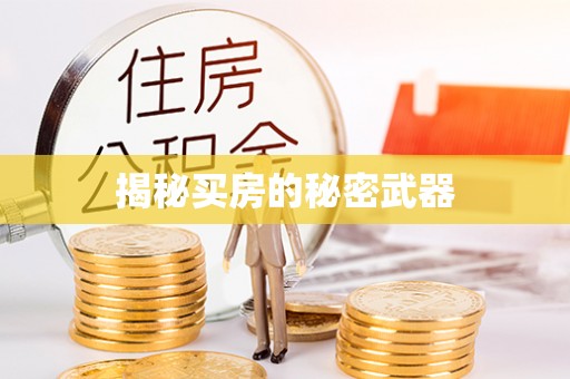 河源揭秘买房的秘密武器
