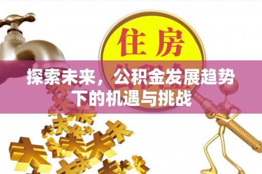 河源探索未来，公积金发展趋势下的机遇与挑战