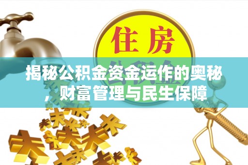 河源揭秘公积金资金运作的奥秘，财富管理与民生保障