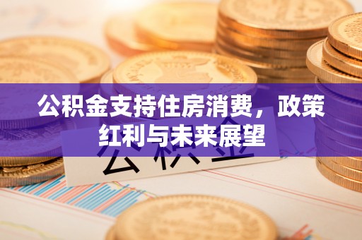 河源公积金支持住房消费，政策红利与未来展望