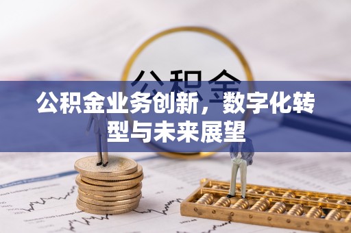 河源公积金业务创新，数字化转型与未来展望