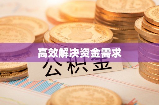 河源高效解决资金需求