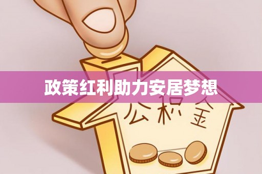 河源政策红利助力安居梦想