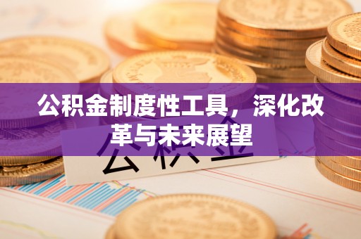 河源公积金制度性工具，深化改革与未来展望