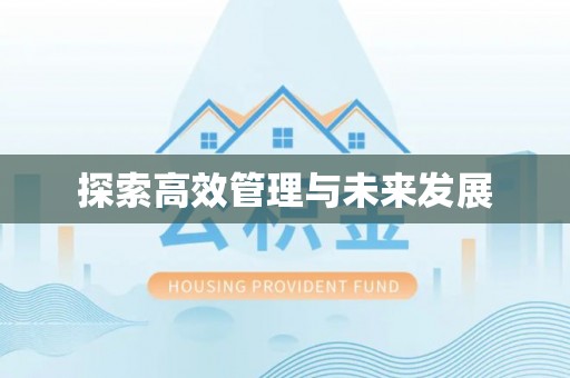 河源探索高效管理与未来发展