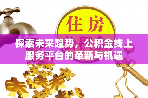 河源探索未来趋势，公积金线上服务平台的革新与机遇