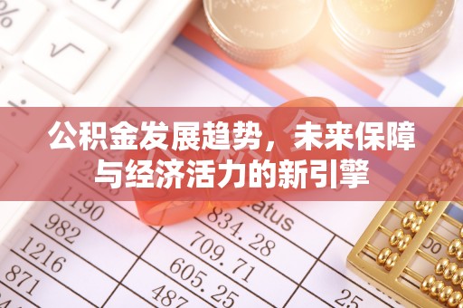 河源公积金发展趋势，未来保障与经济活力的新引擎