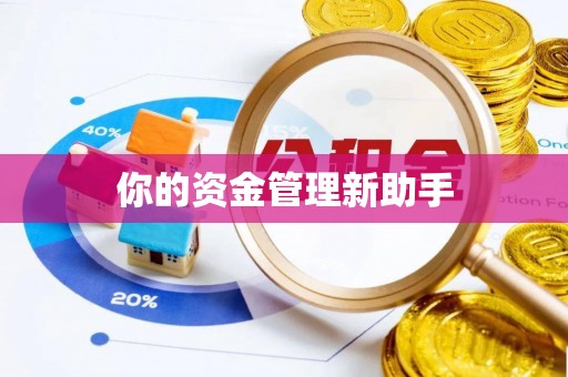 河源你的资金管理新助手