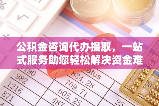 河源公积金咨询代办提取，一站式服务助您轻松解决资金难题