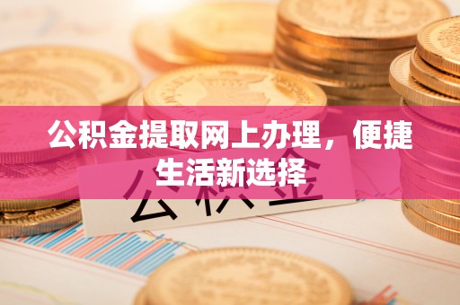 河源公积金提取网上办理，便捷生活新选择