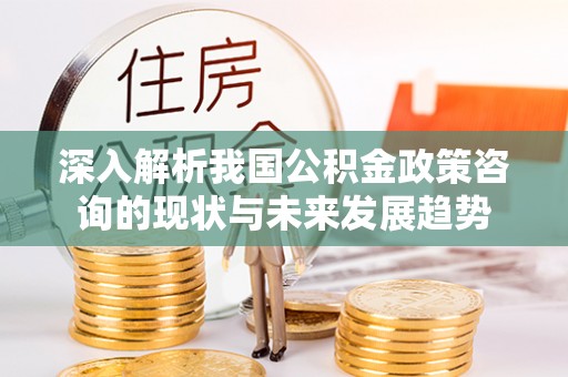 河源深入解析我国公积金政策咨询的现状与未来发展趋势