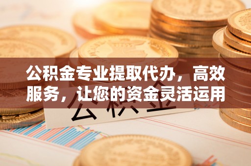 河源公积金专业提取代办，高效服务，让您的资金灵活运用