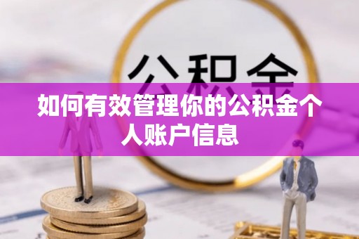 河源如何有效管理你的公积金个人账户信息