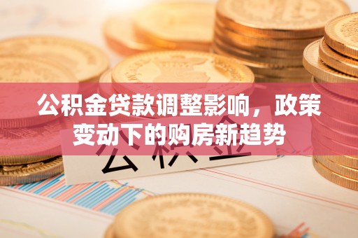 河源公积金贷款调整影响，政策变动下的购房新趋势