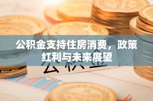 河源公积金支持住房消费，政策红利与未来展望