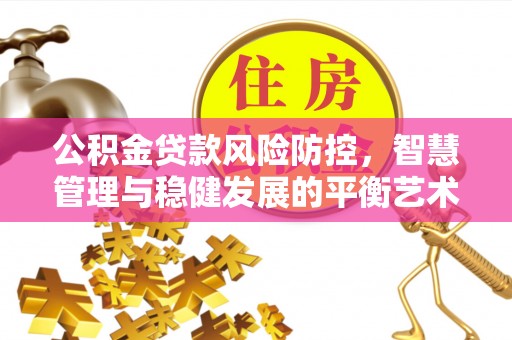 河源公积金贷款风险防控，智慧管理与稳健发展的平衡艺术
