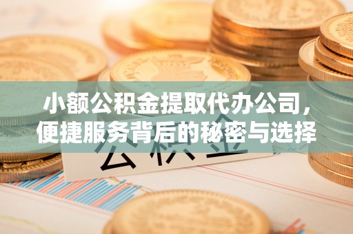 河源小额公积金提取代办公司，便捷服务背后的秘密与选择指南