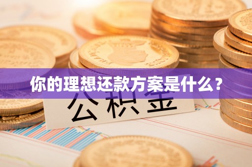 河源你的理想还款方案是什么？