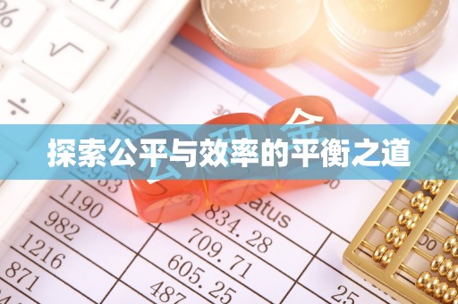 河源探索公平与效率的平衡之道