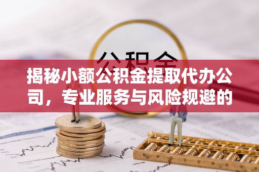 河源揭秘小额公积金提取代办公司，专业服务与风险规避的平衡艺术