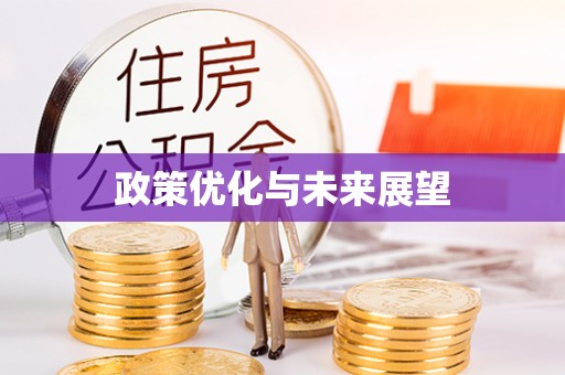 河源政策优化与未来展望