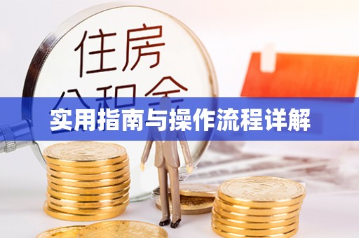河源实用指南与操作流程详解