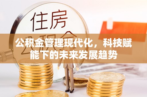 河源公积金管理现代化，科技赋能下的未来发展趋势